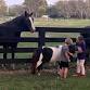 Hug A Horse Class at BellaReed Farm