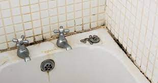 Özellikle duş alırken veya banyo yaparken küf gelişimine engel olmak için varsa banyo aspiratörünü çalıştırın, duştan sonra da pencereleri ve duş perdesini açık tutun. Silikondaki Siyah Lekeler Nasil Cikar Silikon Kararmasi Kizlarsoruyor