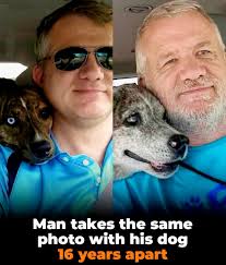 A man shared the same photo with his dog in the car, 16 years later, in a  sequence that starts showing the curious puppy with bright eyes at the  beginning and, as
