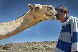 Draw attention to the speech. Musa S Life Story From Camel Herder To U S Citizen Arrive Ministries