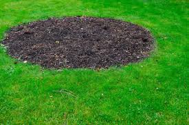 Topsoil similar to the existing soil structure is acceptable and will help smooth out the ground, but the table below shows how much material you will need to topdress your lawn, to different depths. Top Dressing Lawns How To Top Dress Your Lawn Myhometurf