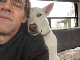 Adopting a confident dog