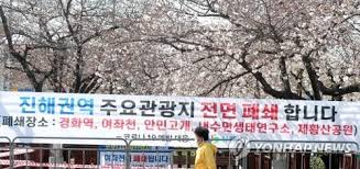 韓国最大の桜祭り「鎮海軍港祭」 コロナで２年連続中止に | 聯合ニュース さん