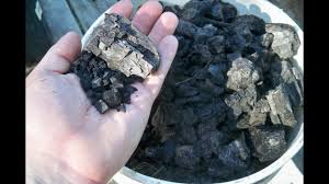 How can it help your garden? How To Make Biochar To Enrich Your Garden Youtube
