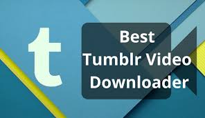 2.when you click a link or a download button, our downloader will start to download the mp3 file immediately. 10 Best Tumblr Video Downloader You Must Try In 2021