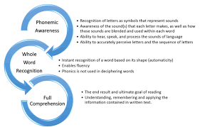 High quality reading comprehension worksheets for all ages and ability levels. Phonics Vs Whole Word Reading New Chapter Learning