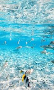 Beauty Pictures Of Life Dougmark Productions In 2020 Ocean Pictures Ocean Wallpaper Ocean Photography