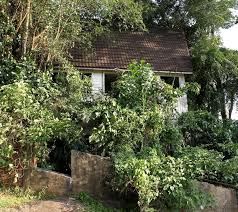 Villa nabila beralamat di jalan air panas no. Detik Cemas Dikacau Penunggu Villa Nabila Kosmo Digital