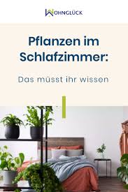 Pflanzen können einen raum zur wohlfühloase machen und ihm natürlichkeit verleihen. Pflanzen Im Schlafzimmer Gehoren Zimmerpflanzen Nebens Bett Schlafzimmer Pflanzen Schlafzimmerideen Fur Kleine Raume Pflanzen