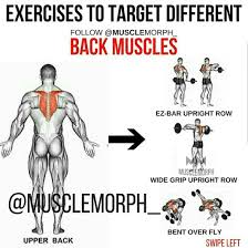Maybe you would like to learn more about one of these? Back Muscles Training