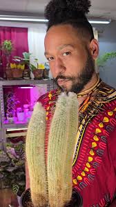 Some of my #CactiGirlies #PrettyGirls #PlantDaddy #PlantLife #BigEGOPlants  #FollowMe