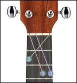 We did not find results for: How To Tune The Ukulele Get Tuned Com