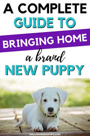 Bringing Puppy Home Guide Well Mannered Pups New Puppy Puppy Training Puppy Training Tips