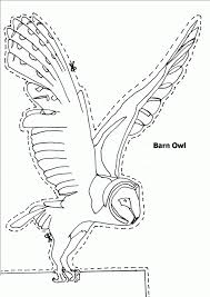 Check spelling or type a new query. Barn Owl Coloring Page Coloring Home