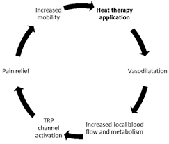 Image result for Local Heat Therapy