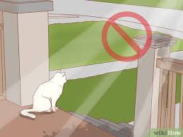 But if it doesn't go away after that, call the vet. How To Recognize Skin Cancer In Cats 15 Steps With Pictures