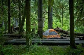 Washington Usa Forest Camping And Tent In The Middle Outdoor Photo Collection Stock Photo Camping In Washington Camping In Washington State State Forest