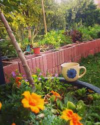 Maybe you would like to learn more about one of these? The Top 66 Raised Garden Bed Ideas Landscaping Design Laptrinhx News