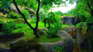 3d Wallpapers For Desktop Hd 1080p Wallpapers Jungle Wallpaper Nature Wallpaper Jungle Pictures