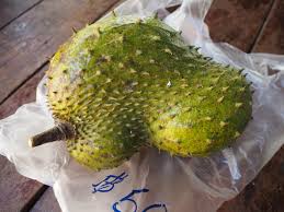 Soursop, or graviola, is a prickly green fruit grown in tropical regions. à¸— à¹€à¸£ à¸¢à¸™à¸™ à¸³ à¸«à¸£ à¸­à¸— à¹€à¸£ à¸¢à¸™à¹€à¸—à¸¨ à¸ à¸™à¸¢ à¸‡à¹„à¸‡à¸„à¸° Pantip