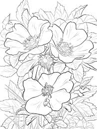 Everyone can vote for their favorites and the results. Disegni Di Fiori Da Colorare 80 Immagini Gratuite Per La Stampa