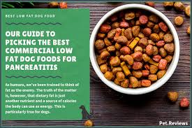 The best homemade dog food recipe is made with one ingredient that no commercial brand can match: Pin On Pet