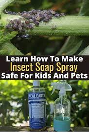 That's something expensive professional exterminators don't want you roaches are the tough guys of the bug world. Homemade Diy Insect Soap Spray Safe For Kids And Pets Plant Pests Get Rid Of Aphids Natural Pest Control