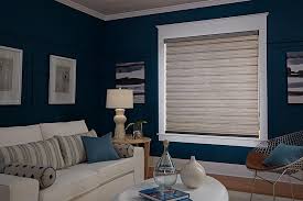 Fireplace manufacturers and showrooms low cabinet. Transitional Shades Window Treatments Living Room Living Room Windows Blue Brown Living Room