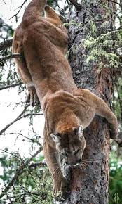 Pin On Natural Beauty