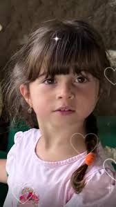 فندق ريكسوس الساحل الشمالي: تجربة فريدة في مصر