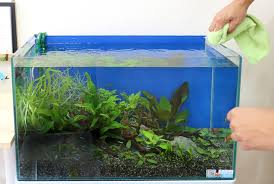 熱帯魚60cmコリドラス・テトラ混泳水槽をゆっくり見て、癒されて下さい。 (底砂の掃除をしてにごりが収まってすぐに撮影しましたので、底砂に汚れが沈殿していました) look at the tropical fish slowly 60cm corydoras tetra aquarium keeping together, please be healed. åˆå¿ƒè€…å'ã' ç†±å¸¯é­šæ°´æ§½ã‚'æŽƒé™¤ã™ã‚‹æ–¹æ³•ã¨ã¯ æ‰‹é †ã‚„ã‚³ãƒ„ã‚'å…¬é–‹ æ±äº¬ã‚¢ã‚¯ã‚¢ã‚¬ãƒ¼ãƒ‡ãƒ³