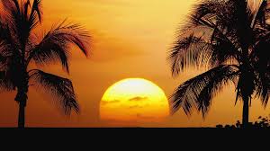 Tie dye skies sunsets with fphawaii in hawaii travel. Hawaii Beach Sunrise Palm Trees 640x1136 Iphone 5 5s 5c Se Wallpaper Background Picture Image