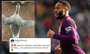 Regarded as one of the country's most promising youngsters, he has fulfilled on his early potential to become one the premier league's. Raheem Sterling Reacts As Fans Liken His Running Style To A Goose Daily Mail Online