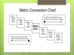 The Metric System Ms Ryan Mcatc Medical Math Ppt Download