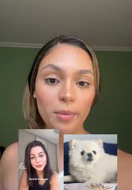 Bebel, a Cachorrinha que Sumiu na Escuridão