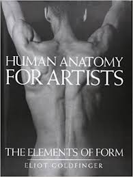 The study of the structures that make up the human body and ho… Top 20 Anatomy Books For Artists In 2021 Improveyourdrawings Com