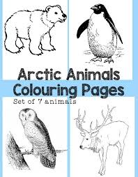 It's so fun to watch shiloh learn about. Arctic Animals Colouring Pages In The Playroom Arctic Animals Arctic Animals Preschool Arctic Animals Activities