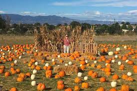 Pumpkin patch open thanksgiving monday. The Best Pumpkin Patches In The Colorado Springs Region