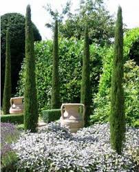 Cypres D Italie De Provence Stricta Avec Images Amenagement Jardin Jardins Jardin Mediterraneen