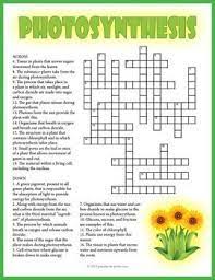 A Crossword Puzzle That Features Vocabulary Words For A Photosynthesis Lesson The Definitio Photosynthesis Worksheet Photosynthesis Photosynthesis Activities