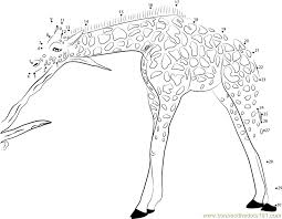 If you are looking for a personal meaning for your tattoo than try a dot on for size. Connect The Dots Giraffe Tattoo Page 2 Coloring Home
