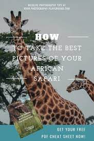 How To Take The Best Pictures Of Your African Safari Wildlife Photography Tips Safari Photography Wildlife Photography Camera