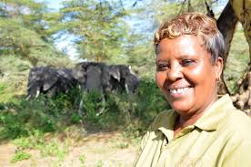 Elephant Ladies of Amboseli