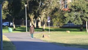 Condições do tempo atuais, previsão do tempo, temperatura e umidade. Frio Em Curitiba Capital Amanhece Com Sensacao Termica De 1Âºc