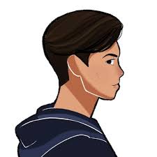 Mario Kart DS + Wii Newcomers Sticker Set