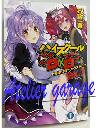High School DxD DX.7 Japanese Novel Ichiei Ishibumi D×D | eBay