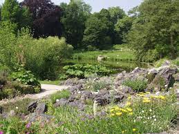 Find your nearby botanic gardens: Stadt Munster Munster Marketing Altstadt Botanischer Garten