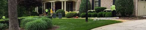 We utilize natural weed control products as well as insect we have been provided professional lawn care services for over 25 years. Lawn Care Landscaping Services Raleigh Nc By Ecm