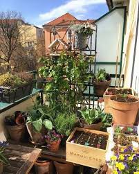What should i plant in my kitchen garden? Quarantine Gardening After Lockdown And Chill It S Time For Some Gardening Times Of India