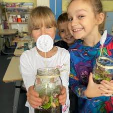 Szkoła Podstawowa im. Jana Brzechwy w Lucynowie